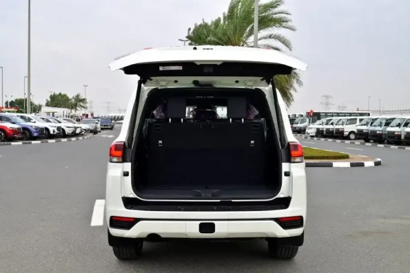 toyotalandcruiserlc300trunk