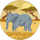 7 Seater Car Rental Dubai 35 nguyen kien profile picture